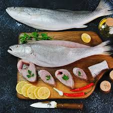 قیمت خرید ماهی شوریده پاکستانی + سفارش عمده